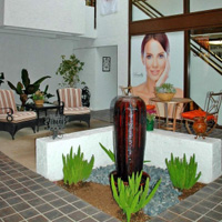international skincare institute